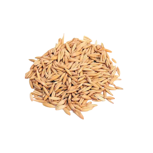 AVENA - Imagen 2