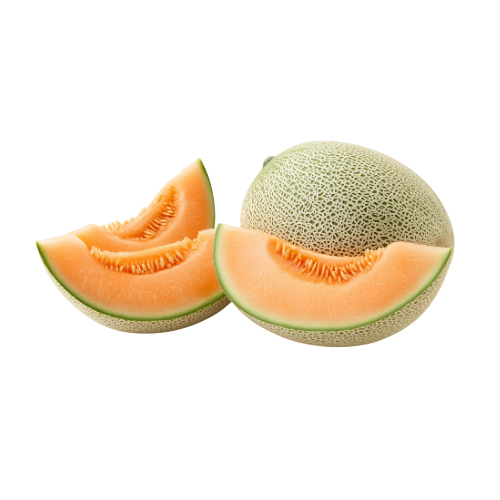 MELÓN 4038 - Imagen 2