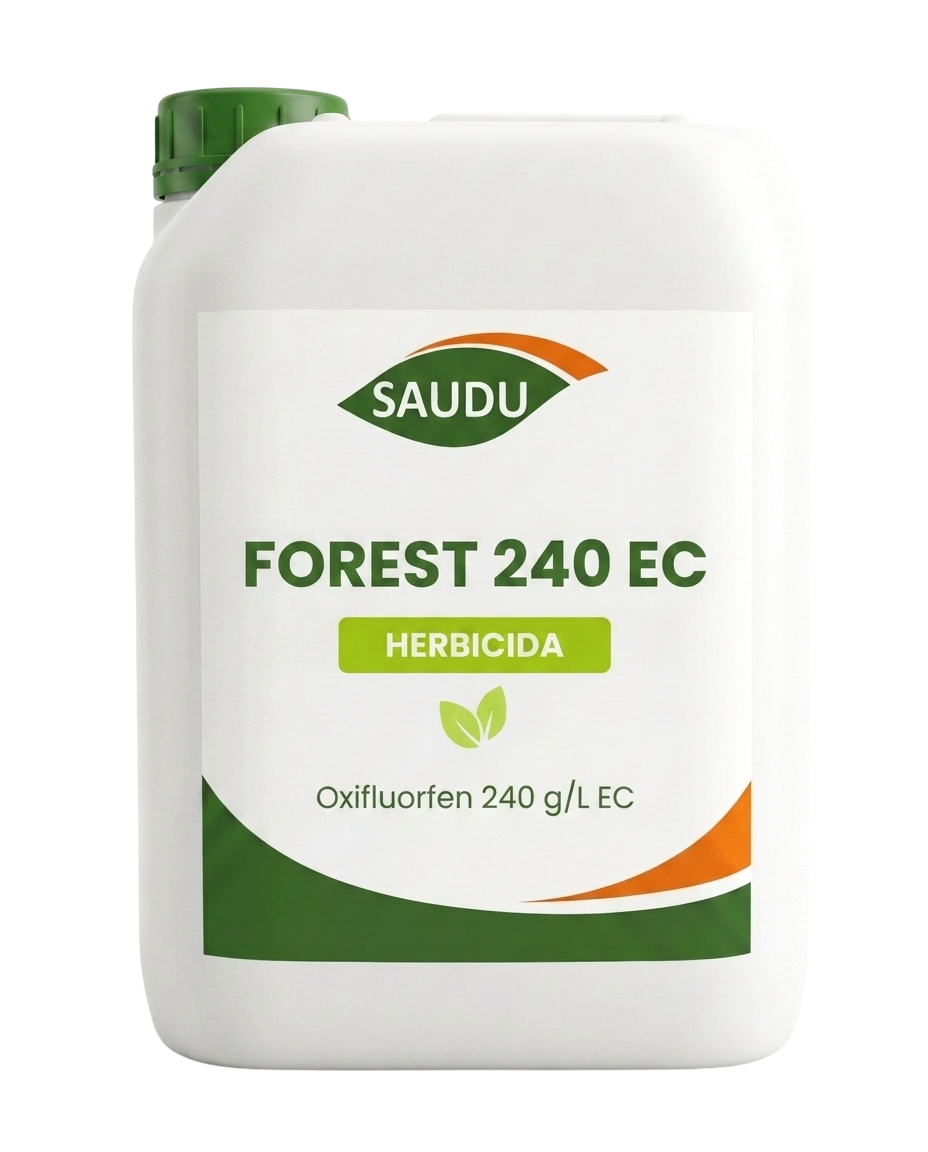 FOREST 240 EC - Imagen 2