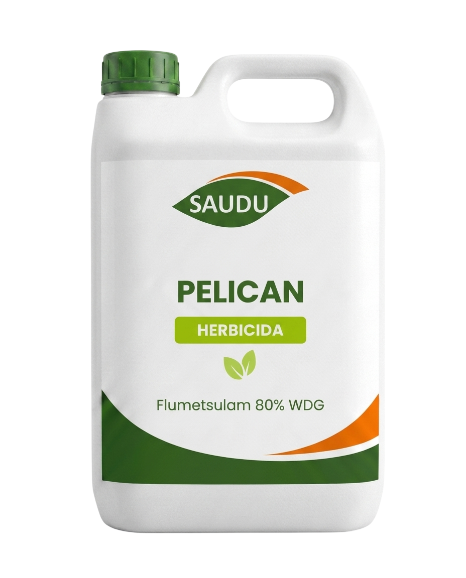 PELICAN - Imagen 2