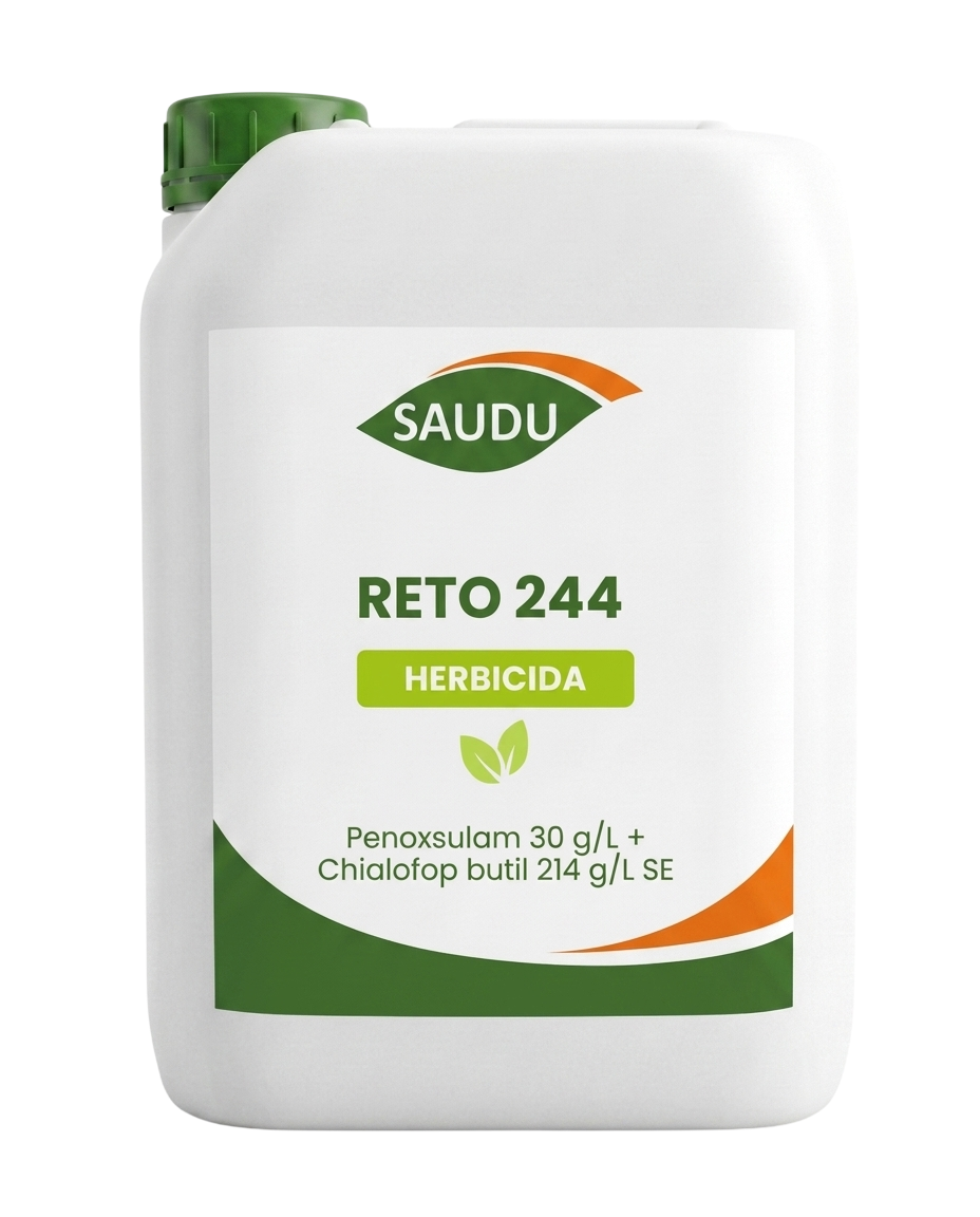 RETO 244 - Imagen 2